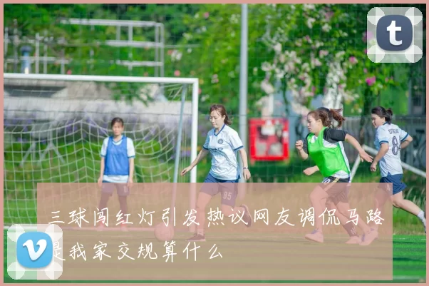 三球闯红灯引发热议网友调侃马路是我家交规算什么