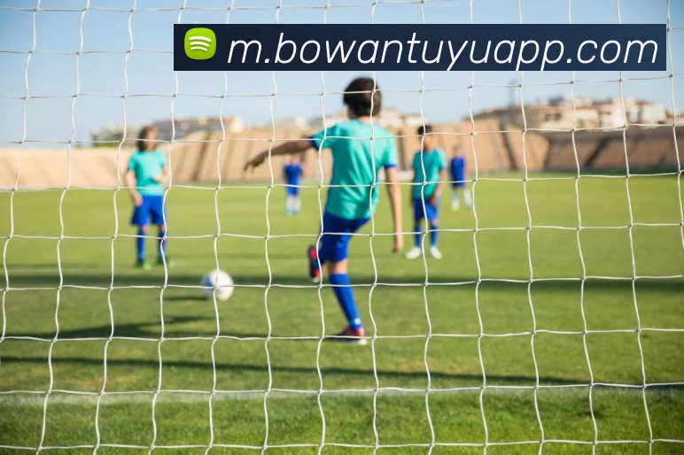 博万体育APP平台生态图