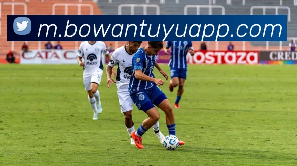 博万体育APP全站App